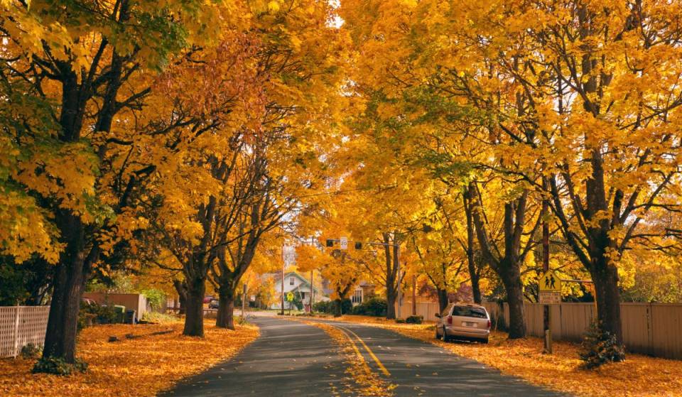 À 40min du centre-ville de Montréal – un charmant village à visiter cet automne, accessible en transports en commun
