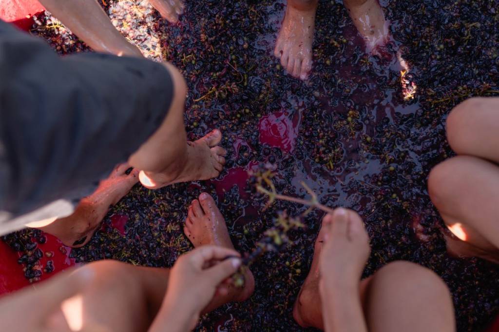À 1h50 du centre-ville de Montréal – c&rsquo;est la Fête des Vendanges à Magog, accessible en bus, du 5 au 7 et du 12 au 13 Septembre
