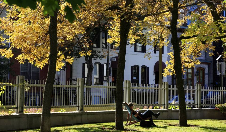 Ce weekend – le Bazar du CCA est le marché avec la meilleure curation de Montréal, et c&rsquo;est le Samedi 12 Septembre 2026