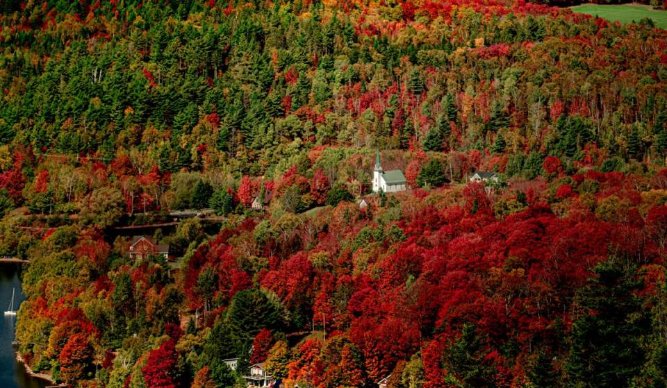 This fall—an interactive map to find the most beautiful fall colors in Quebec