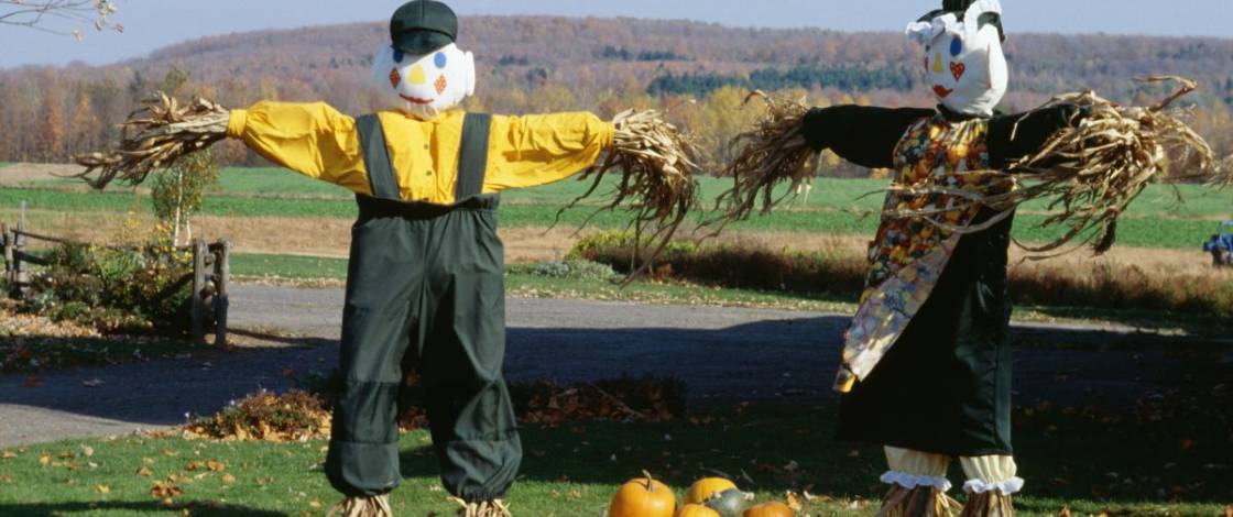 Calendrier d’Octobre à Montréal