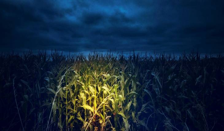 40 minutes from Montreal—a “Night of Terror” in a cornfield, a haunted house to visit for Halloween