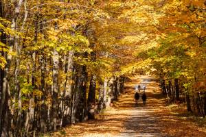 À 1h40 de Montréal en train EXO et pour seulement 5$ – on se balade dans les plus belles couleurs de l’automne montréalais