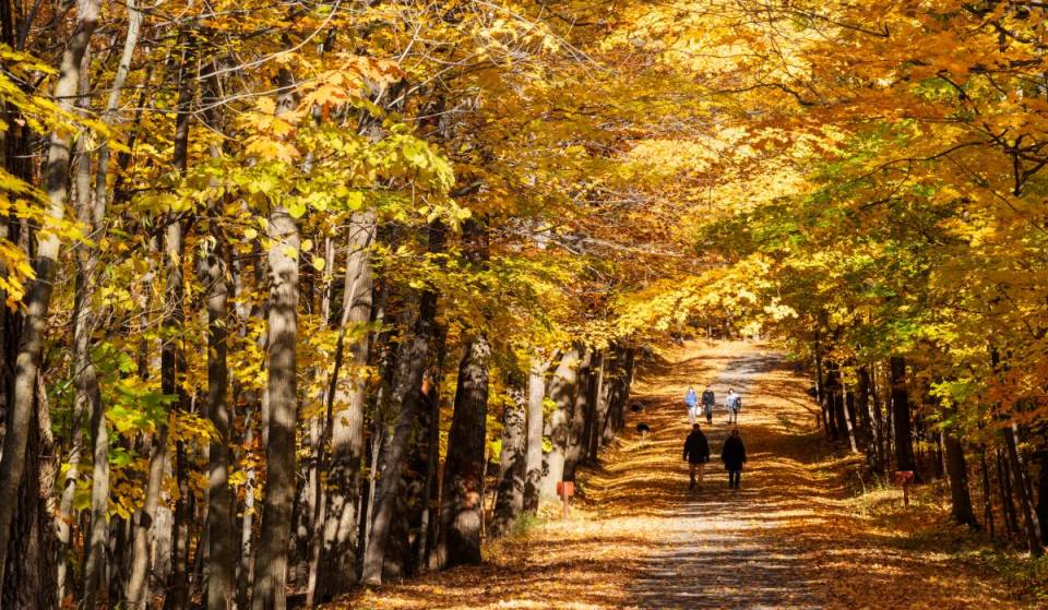 À 1h40 de Montréal en train EXO et pour seulement 5$ – on se balade dans les plus belles couleurs de l&rsquo;automne montréalais