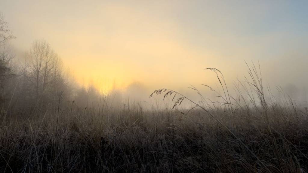 Frost Advisory for Montreal for the night of October 6; the cold is arriving sooner than expected this fall