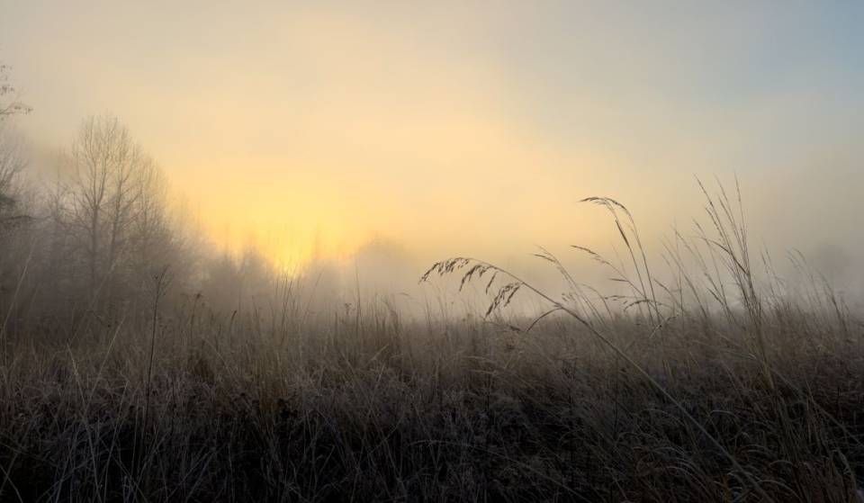 Frost Advisory for Montreal for the night of October 6; the cold is arriving sooner than expected this fall