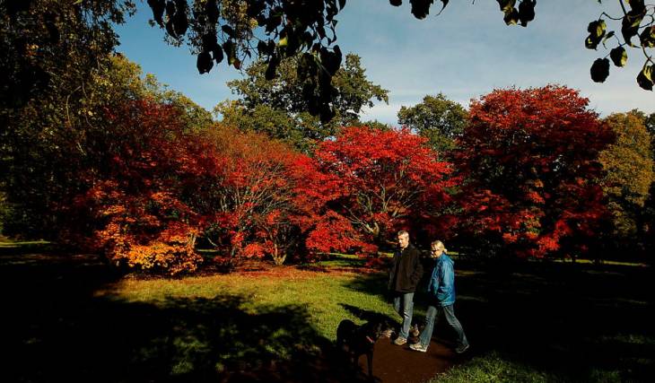 À 1h20 du centre-ville de Montréal et avec la Carte OPUS, une balade dans un très joli bois à faire cet automne