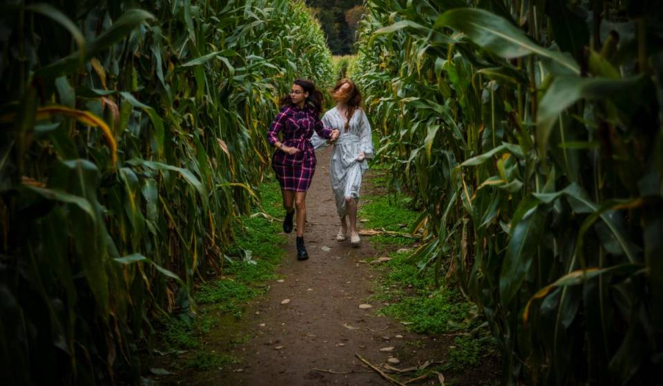 À 55min du centre-ville de Montréal: un labyrinthe hanté à visiter avant l&rsquo;Halloween… si on en a le courage