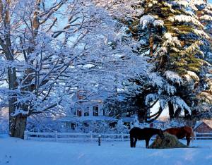 À 1h55 du centre-ville de Montréal: un village de carte postale à visiter quand la première neige tombera au Québec