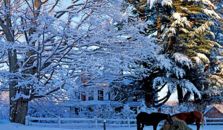 À 1h55 du centre-ville de Montréal: un village de carte postale à visiter quand la première neige tombera au Québec
