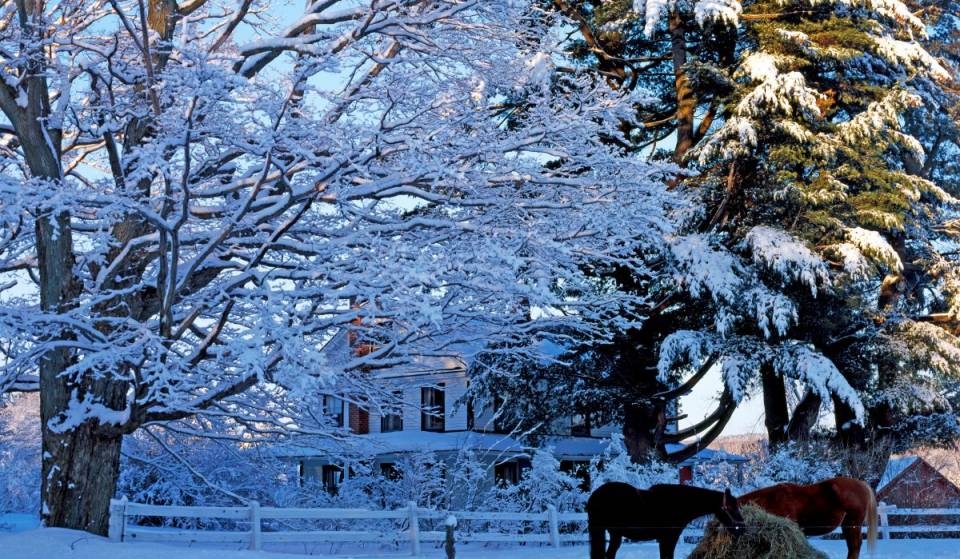 Just 1 hour and 55 minutes from downtown Montreal: a postcard-perfect village to visit when the first snow falls in Quebec