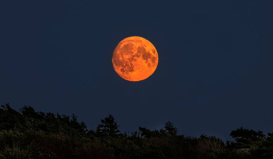 The moon rises in the northeast during Halloween week and appears orange: where can you see it rise?