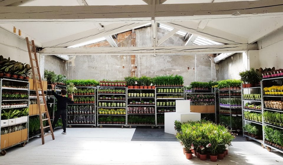 Plantes pour Tous investit le Dojo ce week-end à Nice !