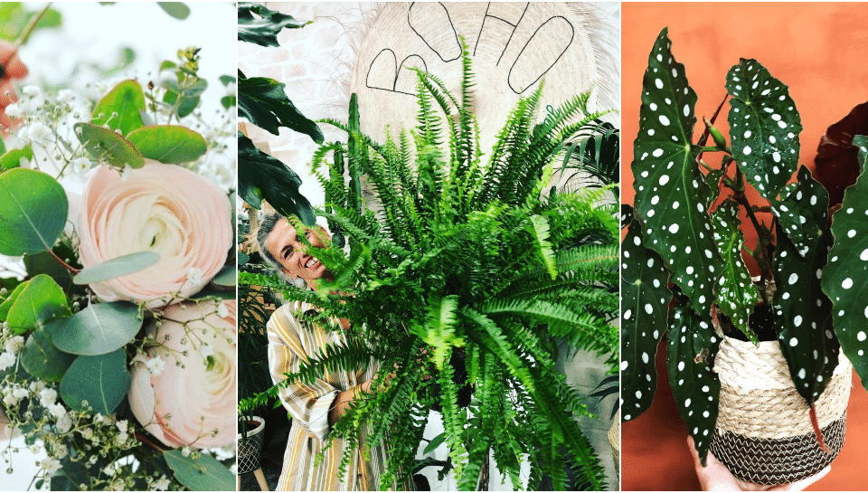 BOHO : le Concept Store le plus « Green » de Nice !