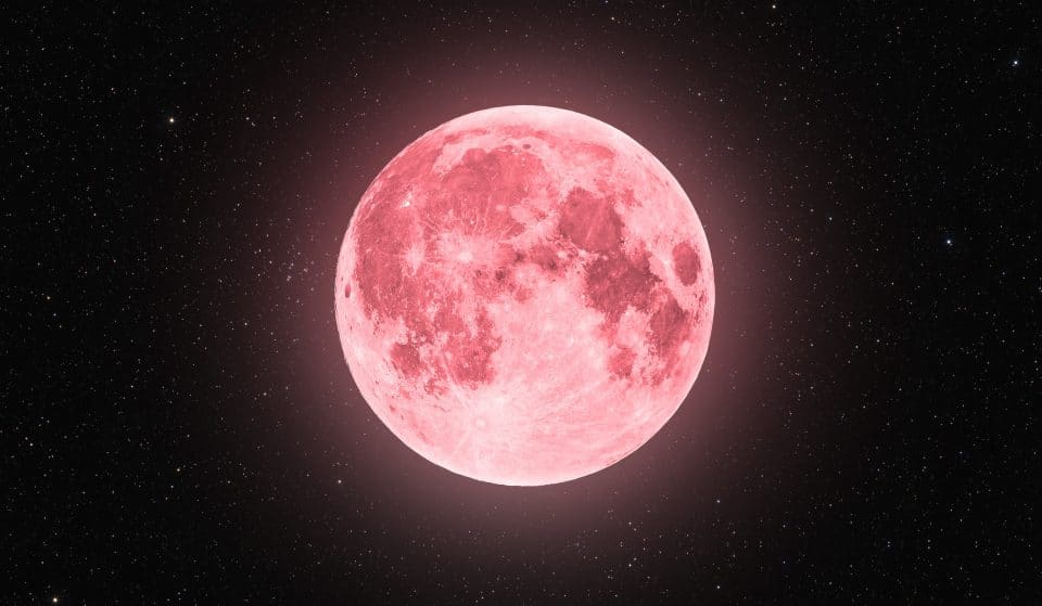 Pleine lune : la splendide « Super Lune rose » va éclairer le ciel ce samedi !