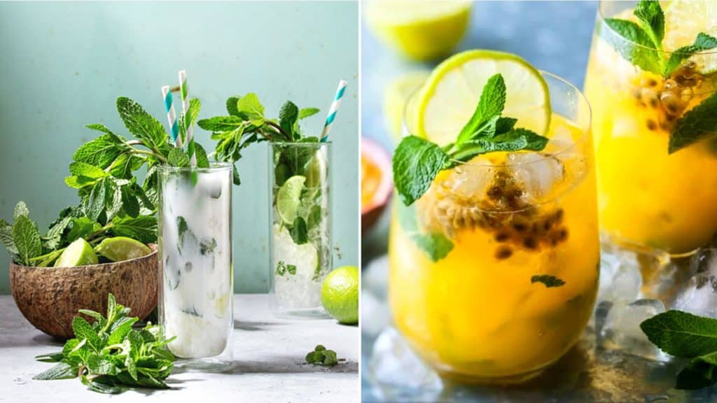 5 recettes originales pour twister vos mojitos et épater vos proches