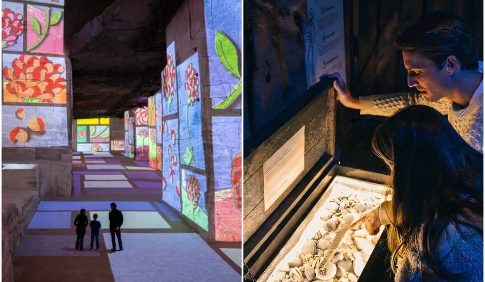 Les meilleures expériences et expositions immersives à faire à Nice et aux alentours