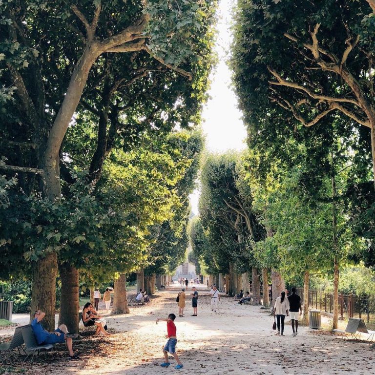 Jardin Des Plantes 57 Rue Cuvier 75005 Paris Les plus beaux parcs et jardins par arrondissement - Paris Secret