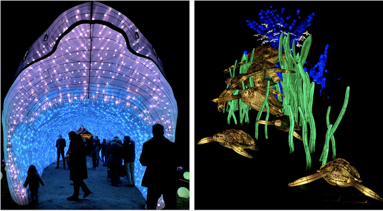 "Océan en voie d’illumination", la féérie continue au Jardin des Plantes lors du festival des