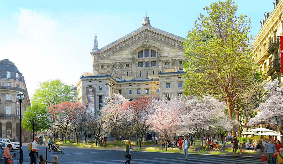 « Plan arbres » : la Ville de Paris va planter 170 000 arbres d&rsquo;ici 2026 !