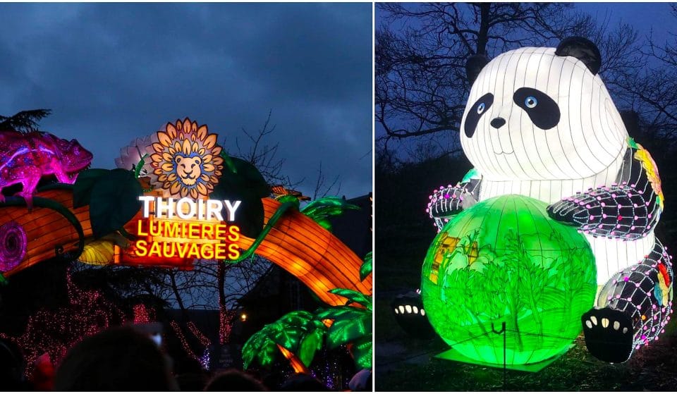 Thoiry Lumières sauvages : le festival des Lanternes s&rsquo;adapte au couvre-feu !