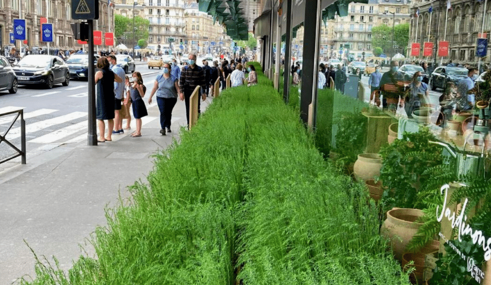 Le BHV installe un champ de lin rue de Rivoli et vous invite à des ateliers jardinage GRATUITS !