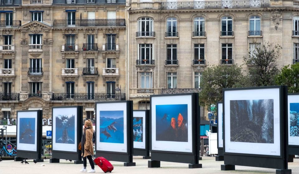 Plongez au coeur des océans lors de cette expo à ciel ouvert sur le parvis de Gare de Lyon !