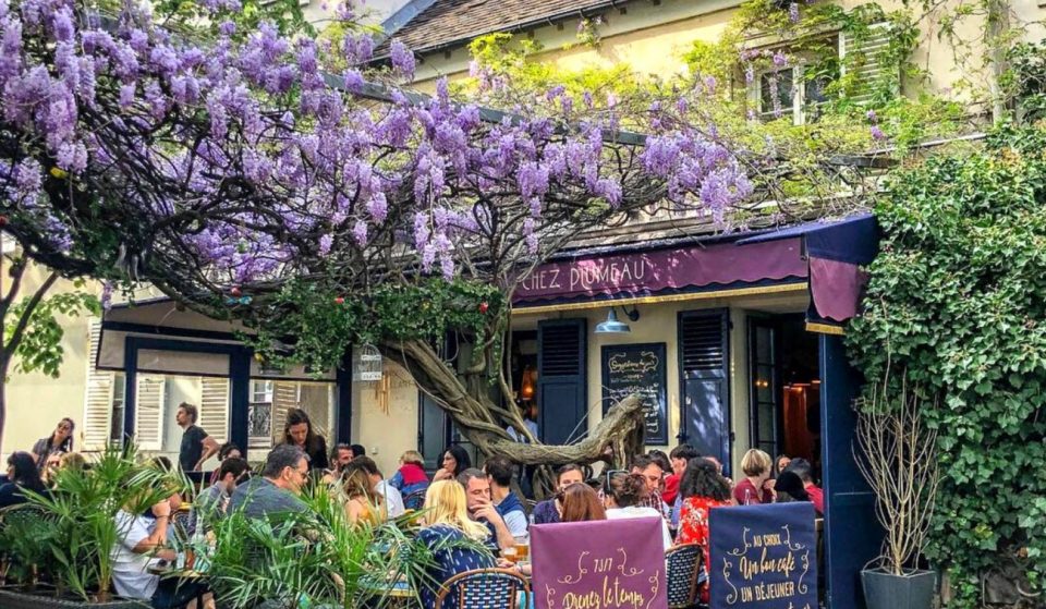 Montmartre : la mythique glycine centenaire de Chez Plumeau tronçonnée par la Mairie de Paris !