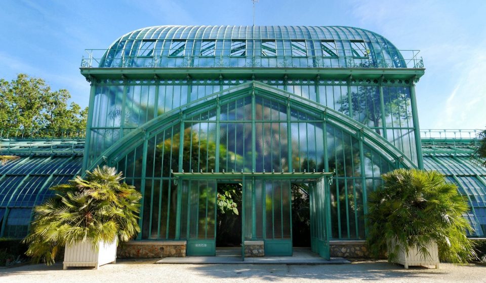 Le palmier mythique de 15 mètres de haut aux serres d&rsquo;Auteuil tronçonné à Paris !
