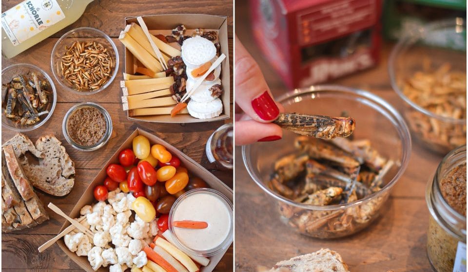 Insolite : à Paris, dégustez la BOX LANTA aux insectes grillés, la box apéro parfaite devant Koh Lanta !