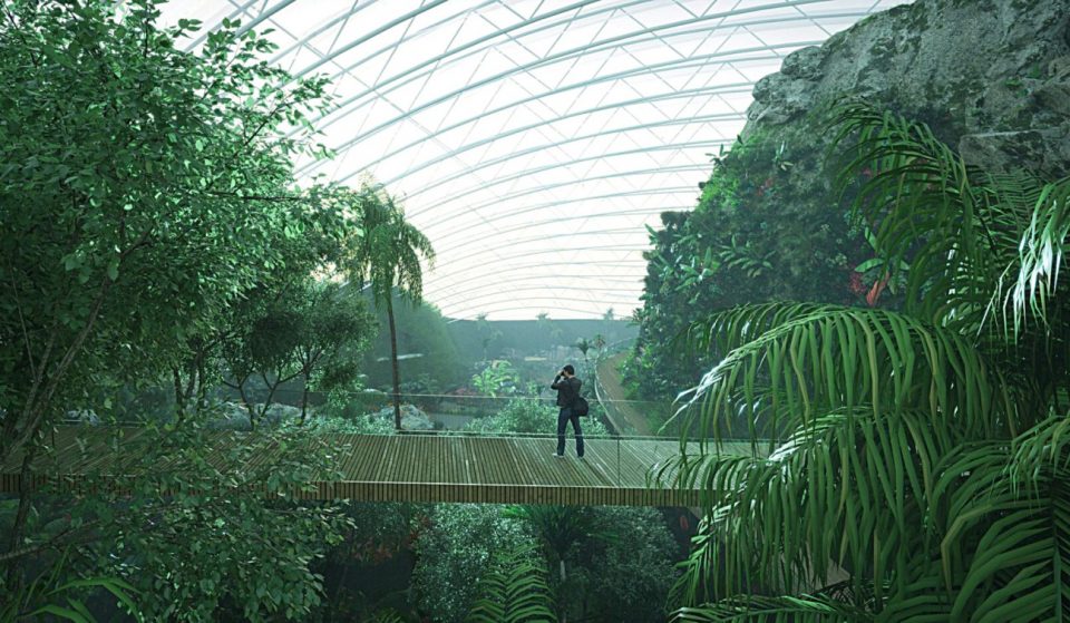 La France s&rsquo;apprête à accueillir « Tropicalia », la plus grande serre tropicale du monde !