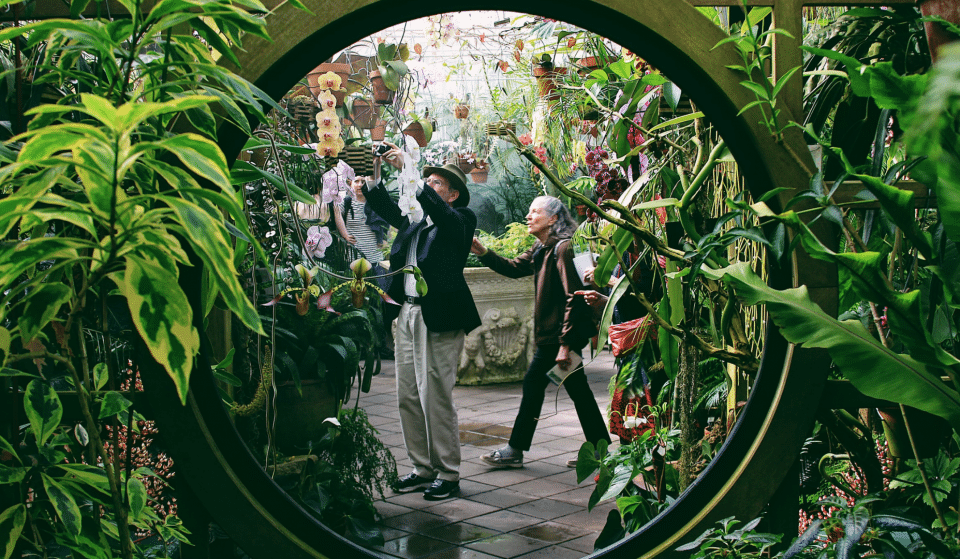 Les 21, 22 & 23 mai : méga vente de plantes à La Rotonde à Paris !