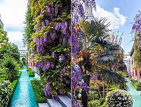 «Cascadas de glicinas hasta donde alcanza la vista»: este jardín escondido de 3500 m² en el corazón de París pronto se cubrirá de flores… y la floración solo dura unas semanas