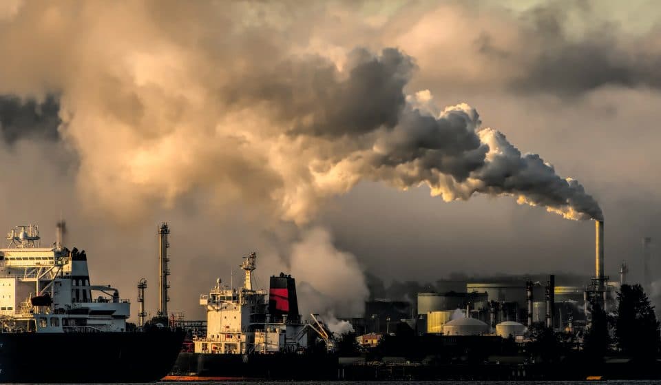 Écologie : Le Jour du dépassement tombe aujourd&rsquo;hui, un recul aux niveaux de consommation de 2019