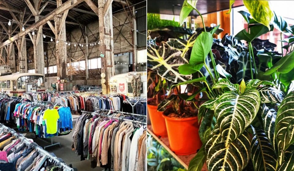 En novembre, une grande braderie de plantes et de fripes dans un pop-up store du 11e