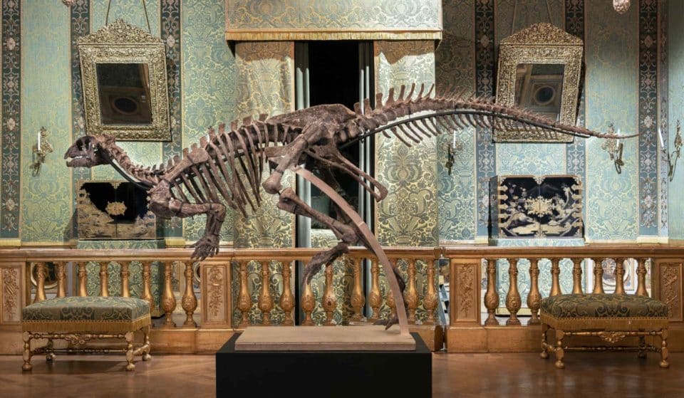 L’un des squelettes de dinosaures les plus complets jamais découverts exposé gratuitement à Paris !