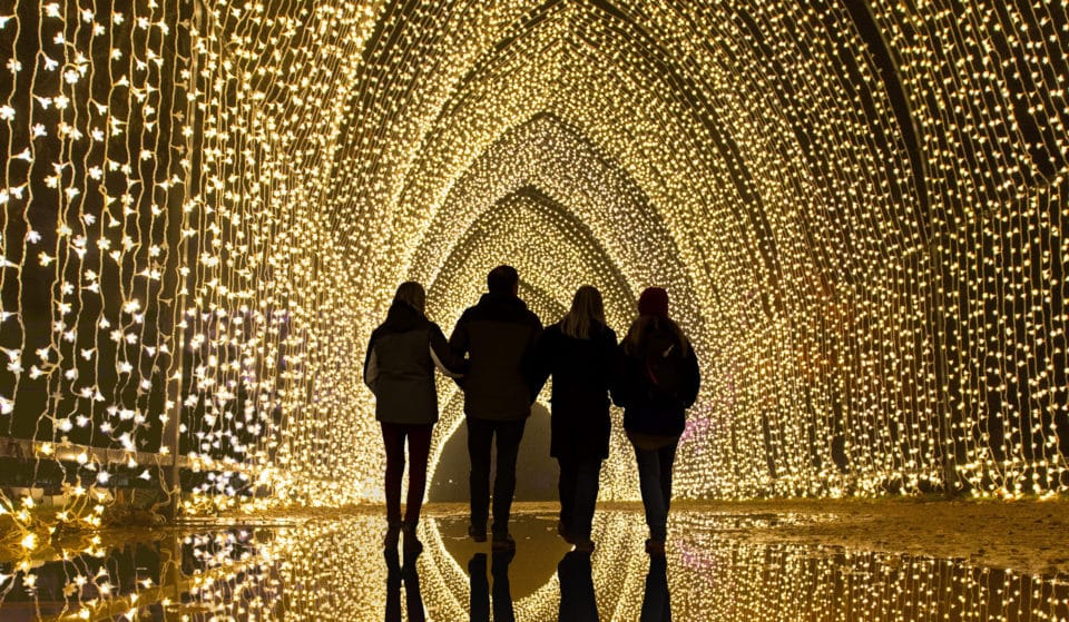 Les Sentiers Lumineux de Noël : un nouveau parcours immersif féérique au Parc Floral de Paris !