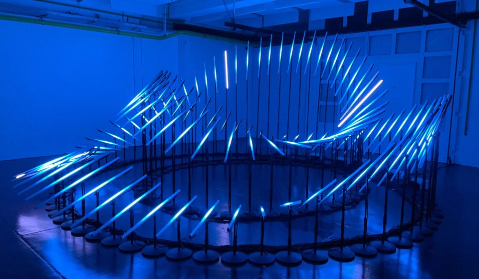 Magnetic Flow : la nouvelle exposition immersive entre sons et lumières qui fascine Bruxelles !