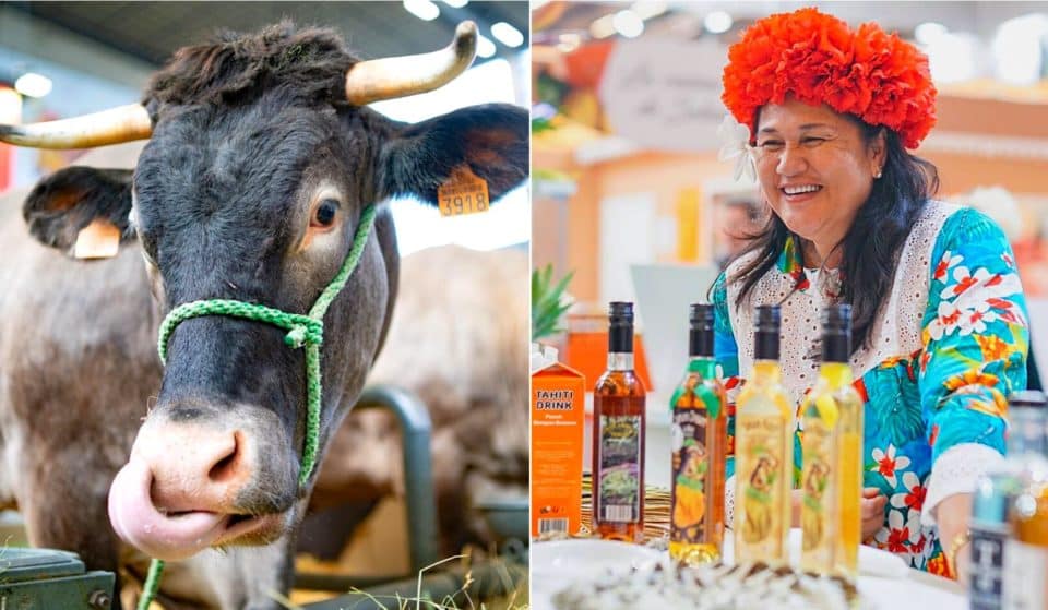 Paris : le Salon de l&rsquo;Agriculture de retour pour une 59e édition !
