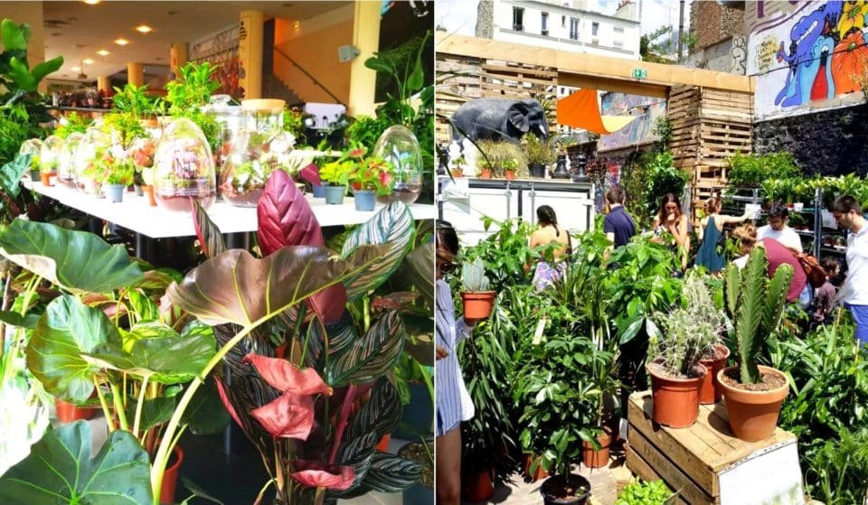 Une grande vente de plantes à 2€ débarque à Beaugrenelle !