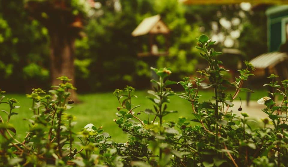 Paris : un nouveau jardin va fleurir dans le Marais !