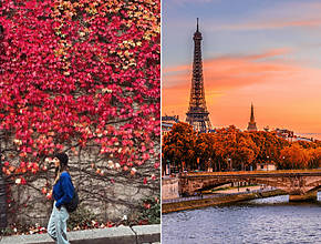 Les activités incontournables à faire à Paris ce week-end (samedi 15 et dimanche 16 novembre 2025)