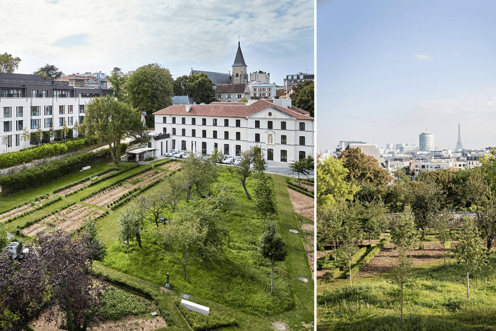 Domaine Reine Margot