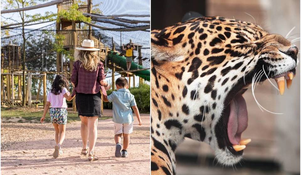 Parrot World: il parco faunistico che vi immerge nella biodiversità del Sud America