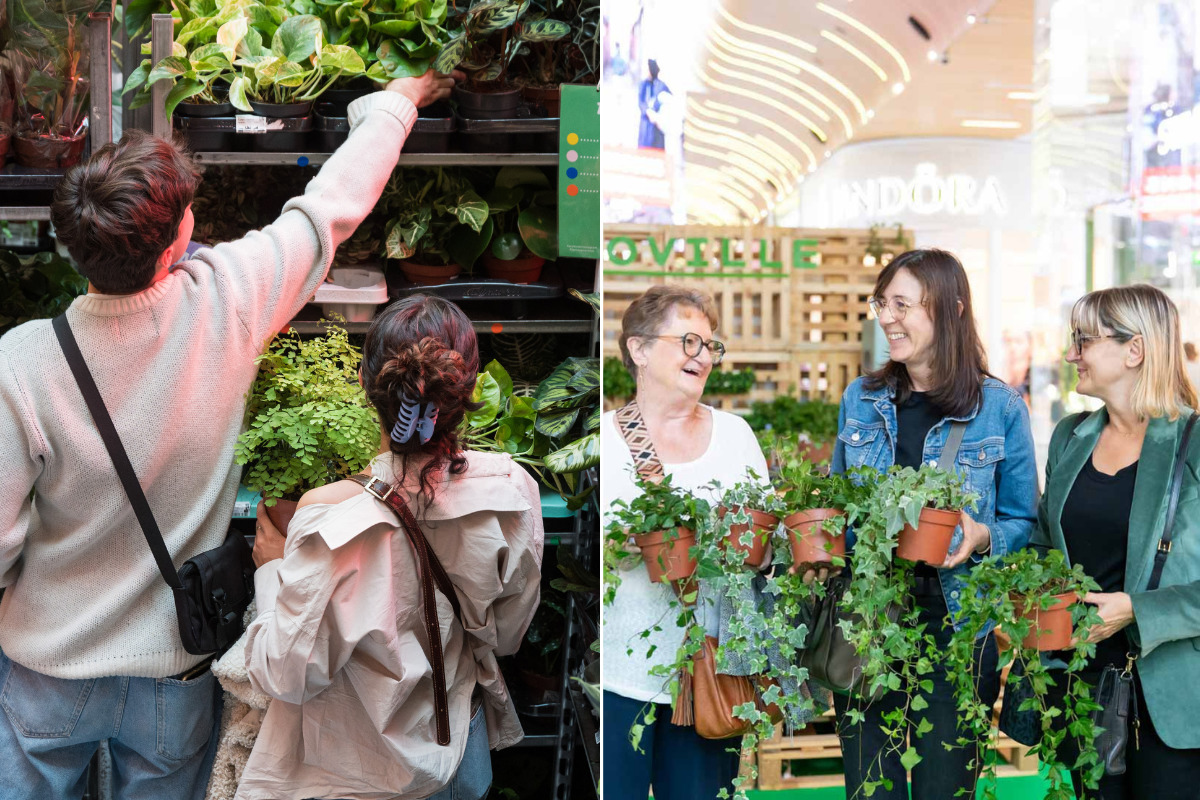 Plantes pas chères Paris nos bons plans pour un appart végétal