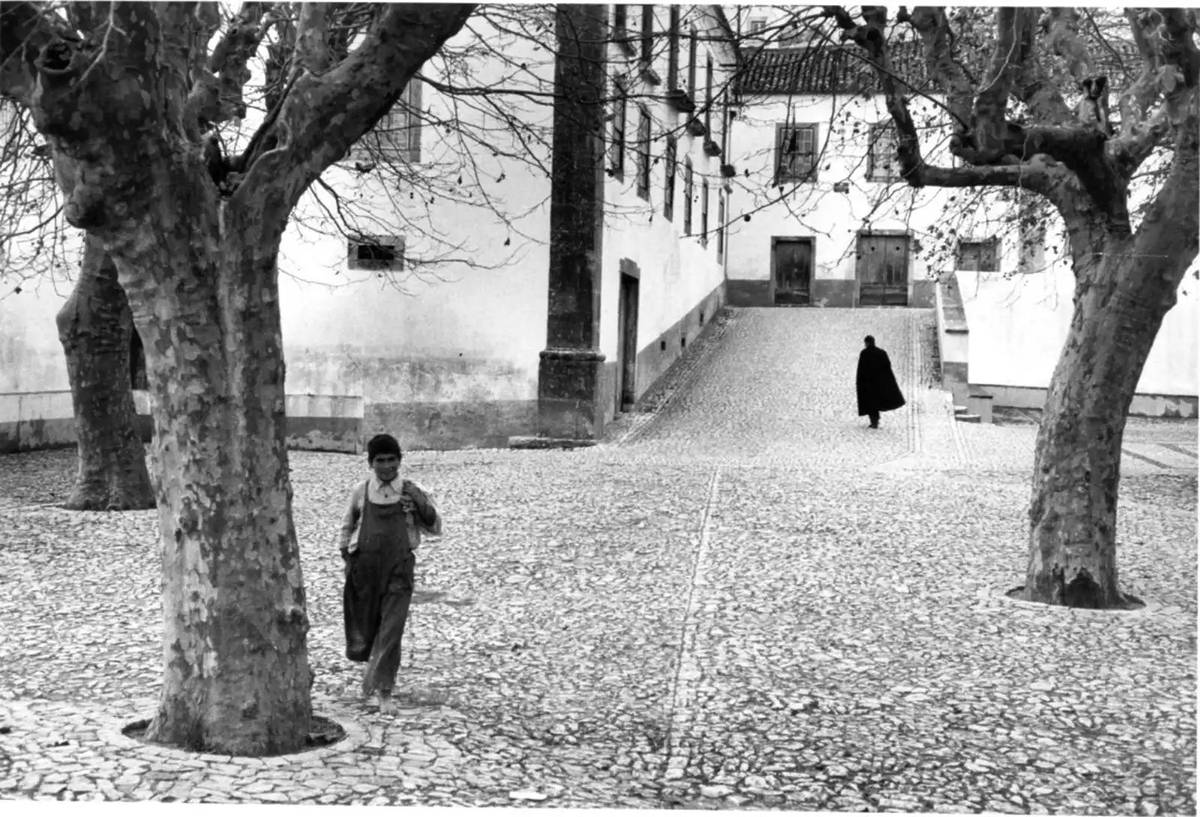 Gérard Castello-Lopes expo