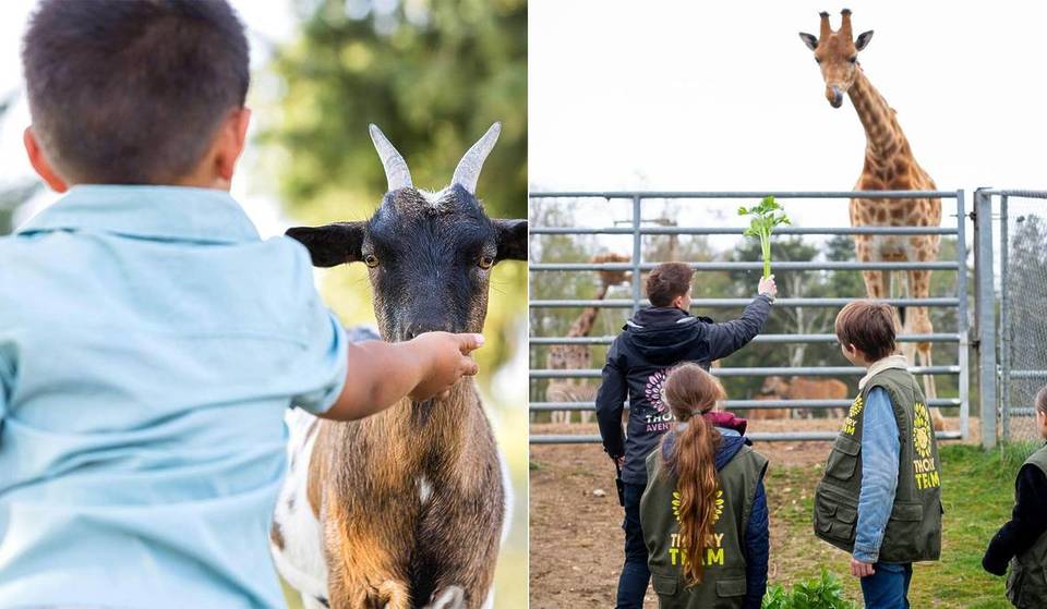 Ces vacances, laissez vos enfants devenir « Soigneurs en herbe » dans ces Zoos de Paris et d&rsquo;Ile-de-France