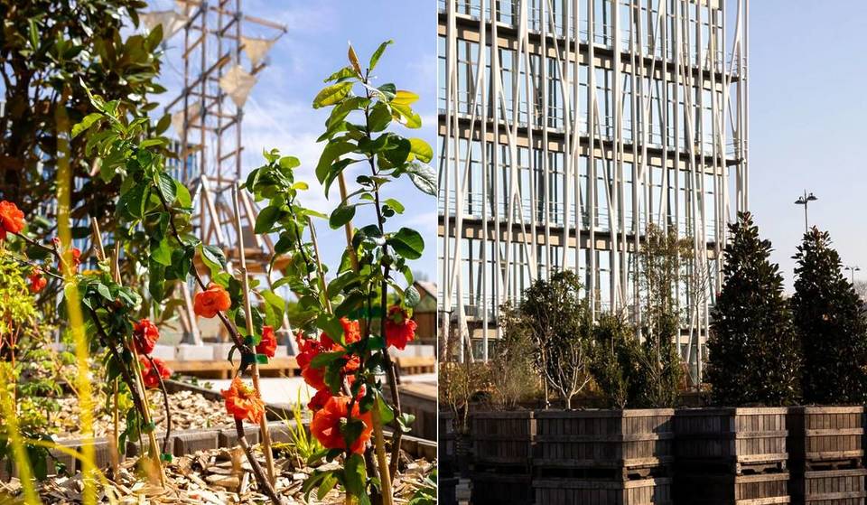 Un jardin culturel de 4 200 mètres carrés vient d&rsquo;ouvrir ses portes à deux pas de Paris