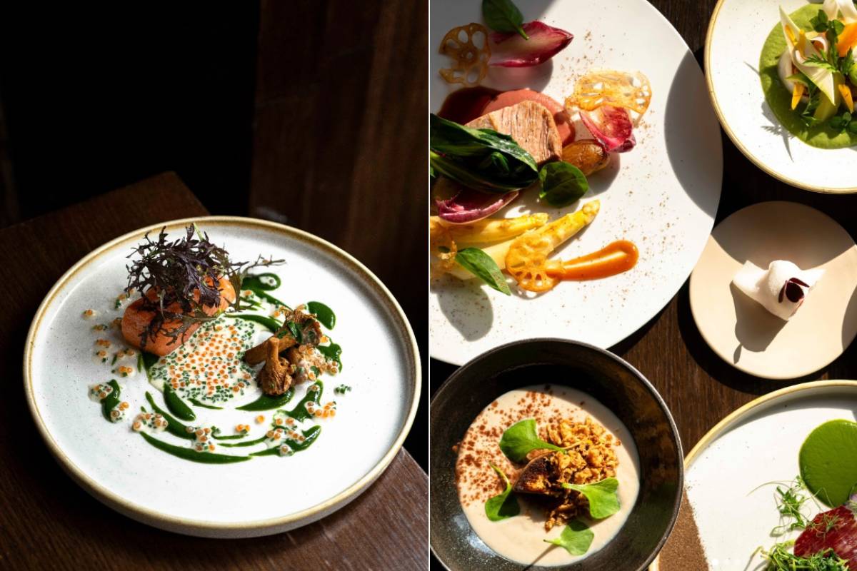 Discover the best gourmet restaurants in Paris