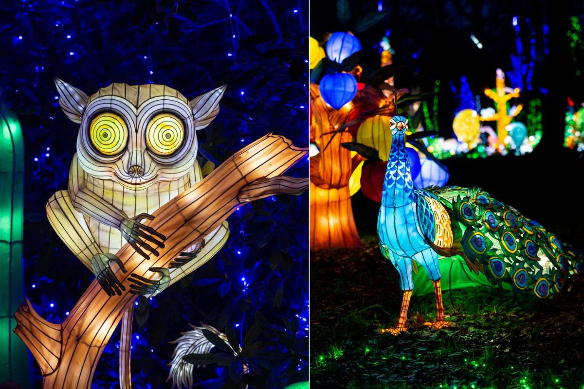 Cuvetta Lovibond In Vetro - Per Analisi Liquidi, Percorso Luminoso 133.35 Mm, Volume 74.6 Ml - Foto 5